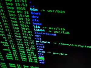 WordPress security plugin selection shown on a laptop screen